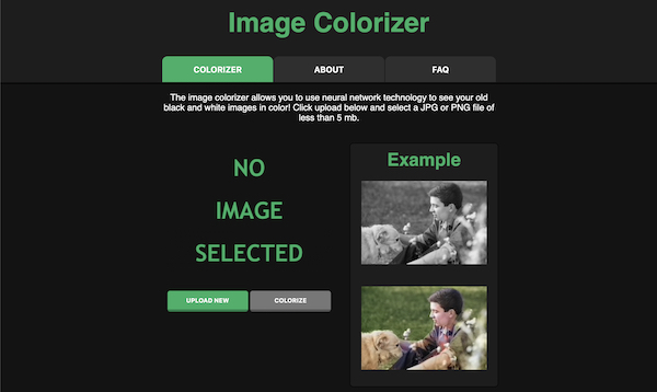 Image Colorizer